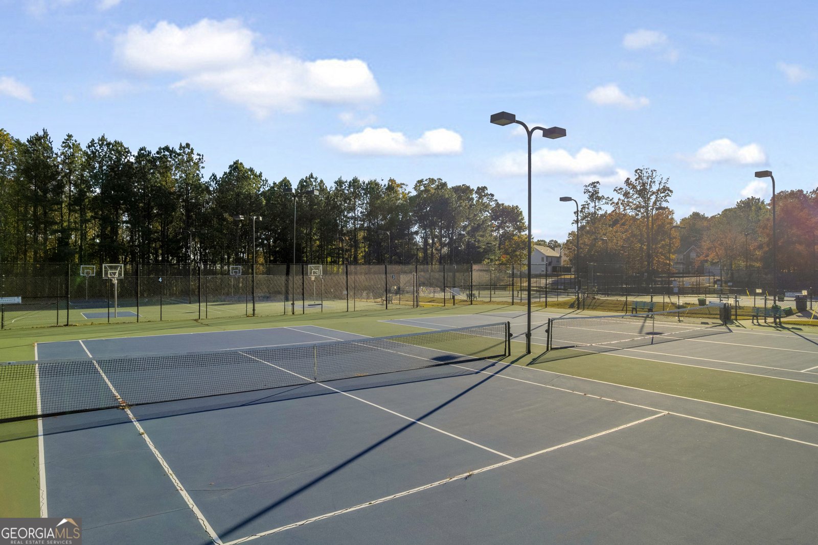 3001 Leatherleaf Trail Douglasville - 80