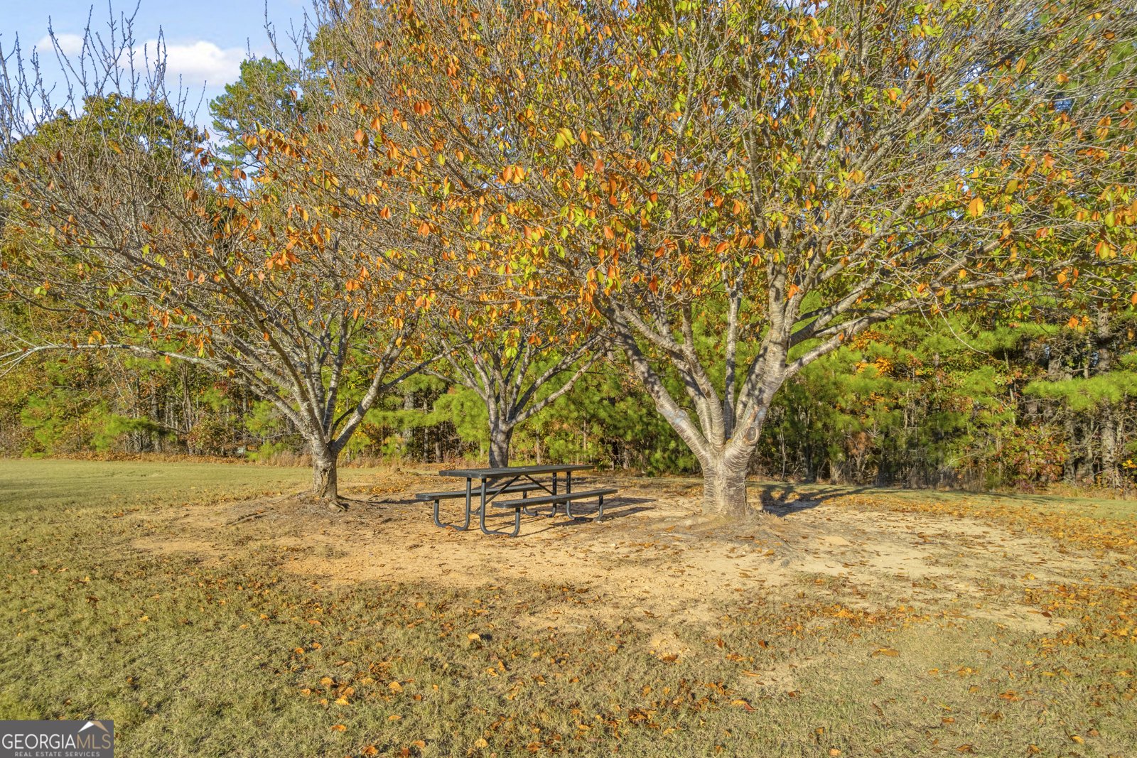 3001 Leatherleaf Trail Douglasville - 89