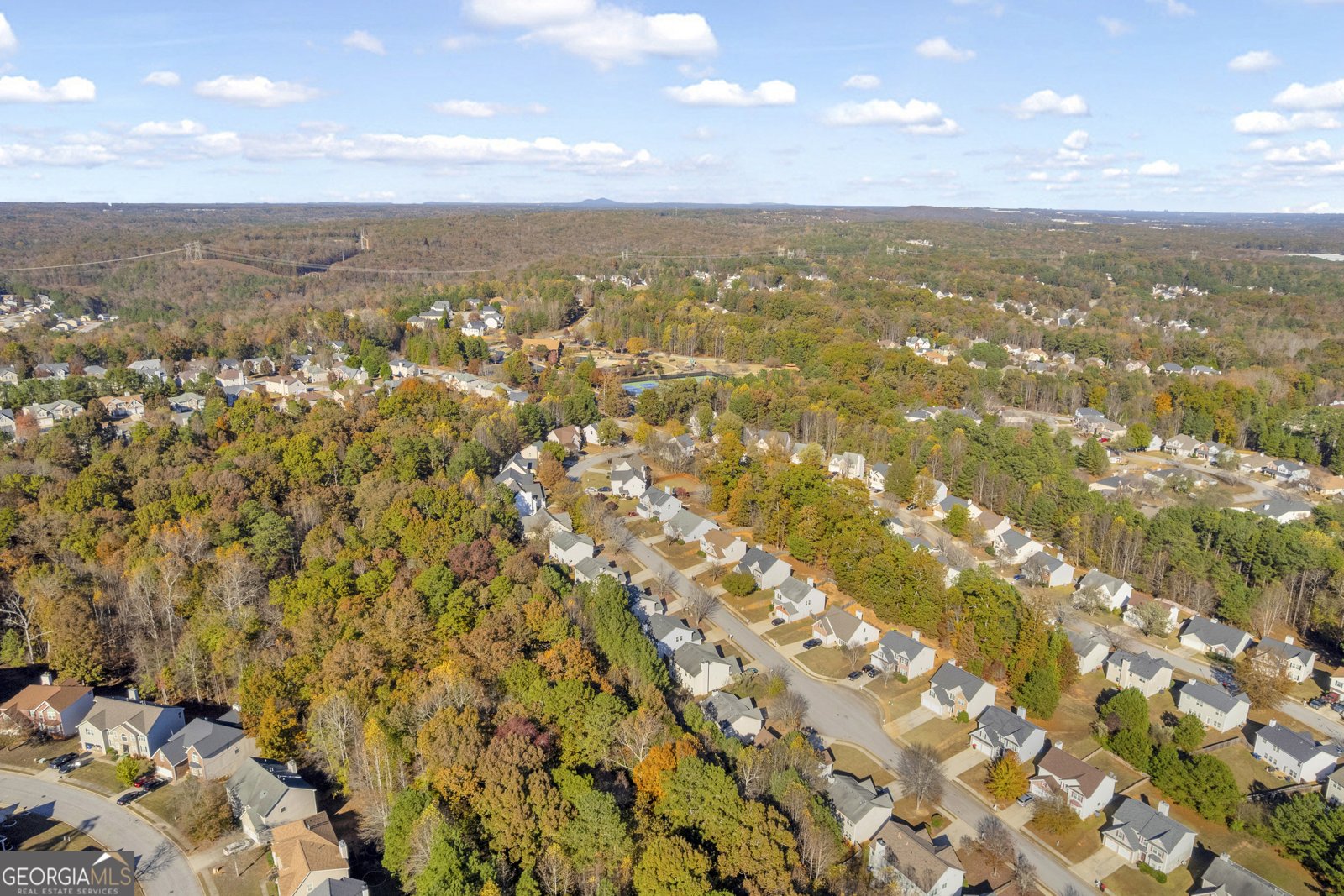 3001 Leatherleaf Trail Douglasville - 92