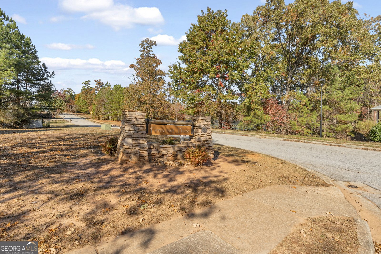 3001 Leatherleaf Trail Douglasville - 97