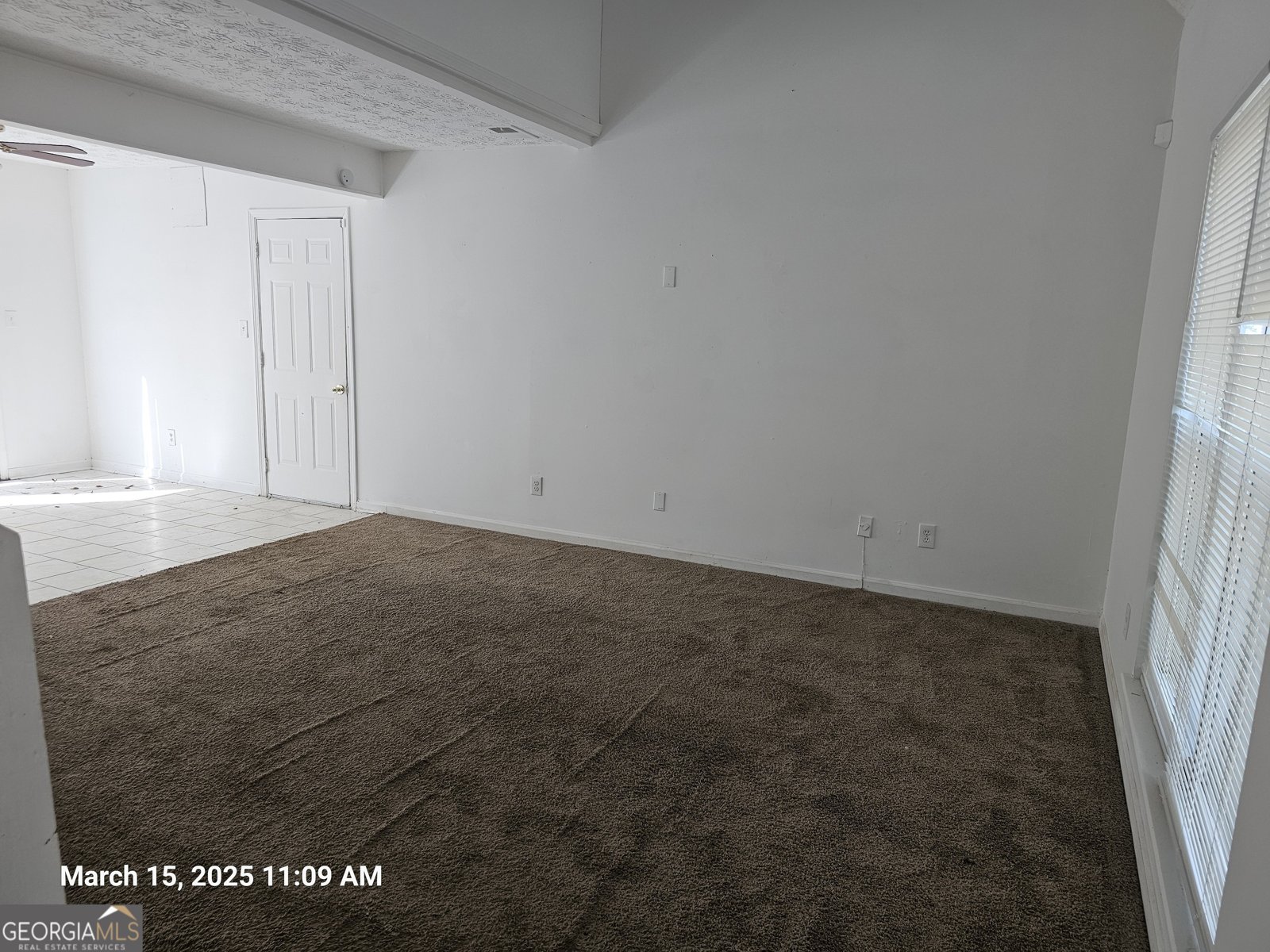 11187 Shannon Circle Hampton - 5