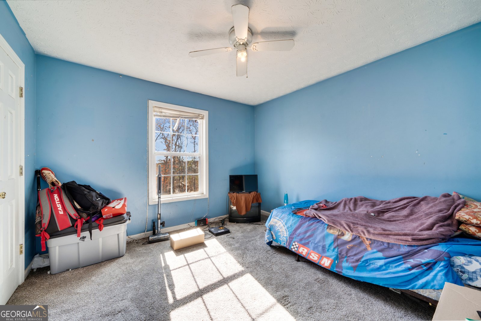 266 Lambert Overlook Circle Carrollton - 11