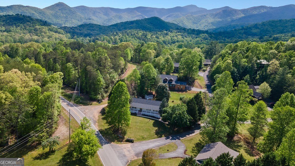 2421 Settlers Ridge Road Hiawassee - 3