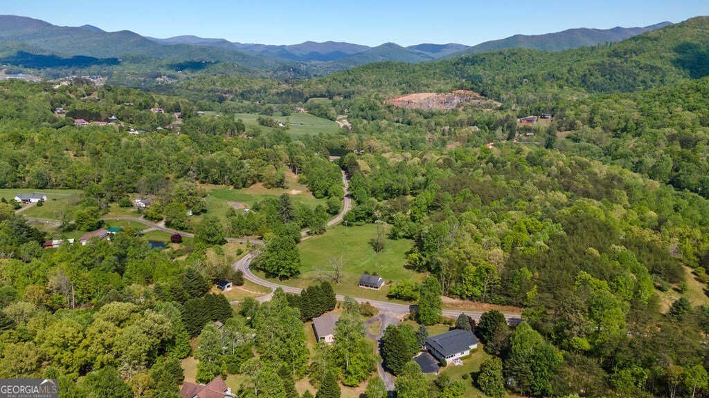 2421 Settlers Ridge Road Hiawassee - 41
