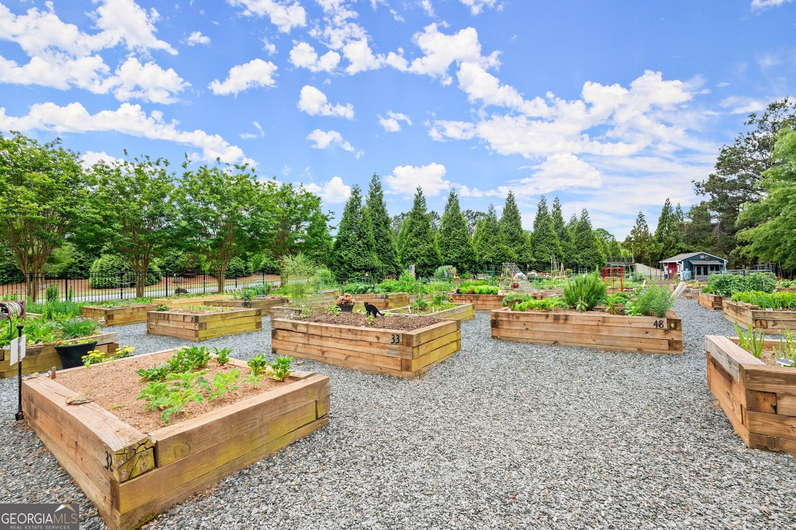 3476 Locust Cove Road Gainesville - 35