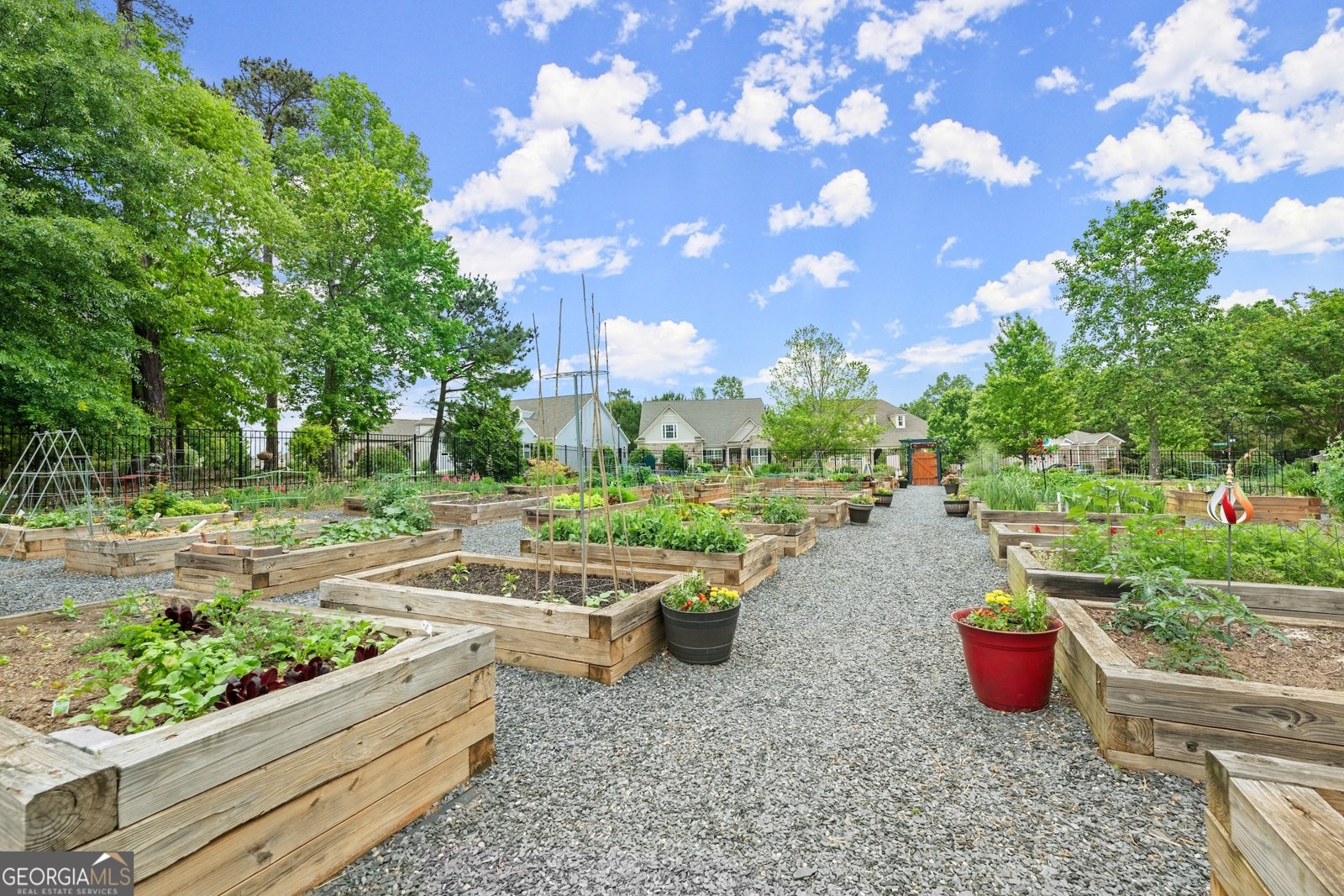 3476 Locust Cove Road Gainesville - 69