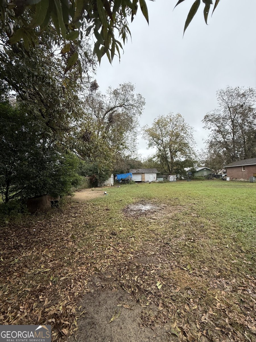 117 Gaff Avenue Fitzgerald - 6