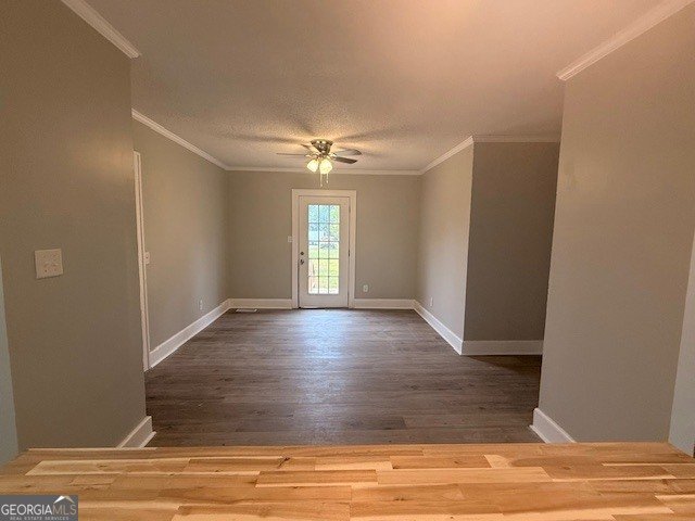 443 Stewart Street Pelham - Photo 12