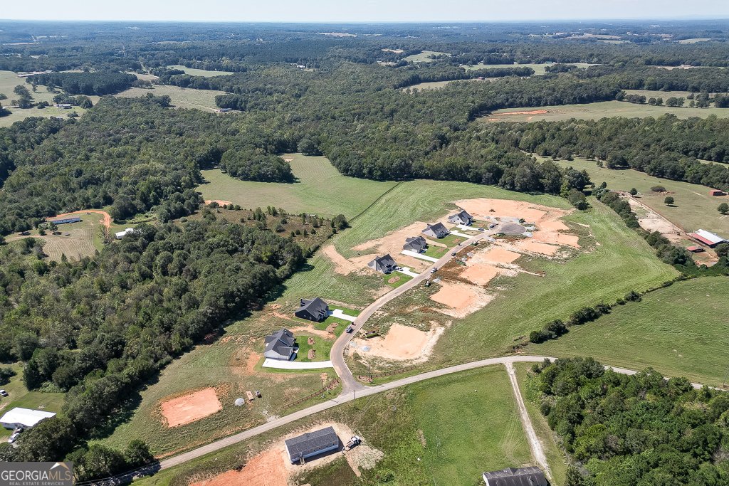 43 Creek Stone Drive Hartwell - 44