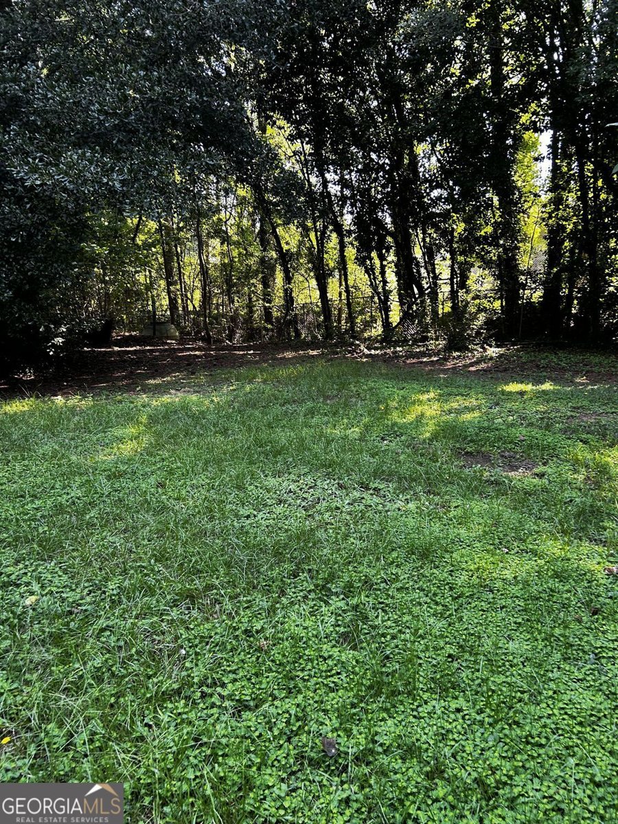 610 Roy Huie Road Riverdale - 1