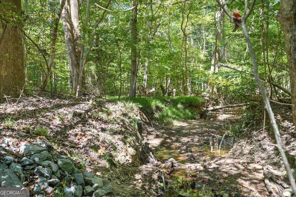 4198 Gramercy Main Kennesaw - 2