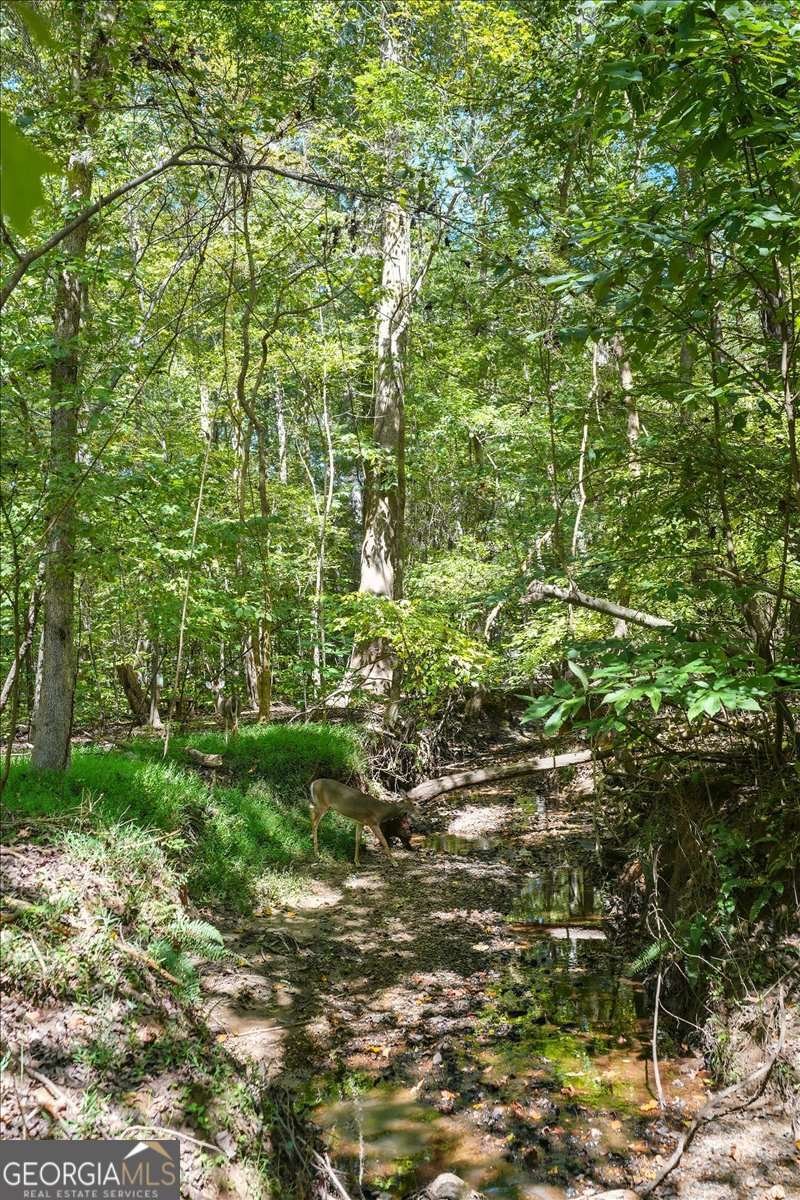 4198 Gramercy Main Kennesaw - 4