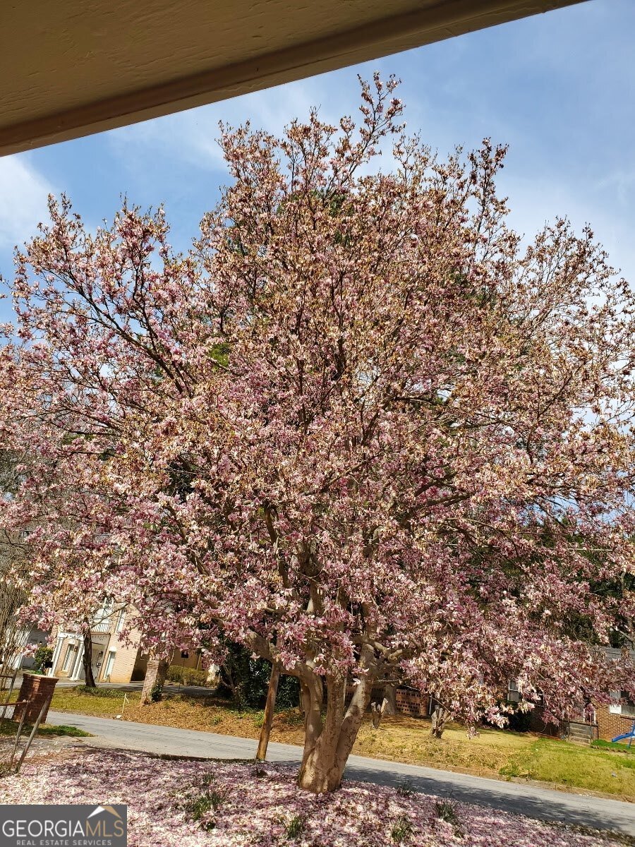 25 Bromack Drive Atlanta - 8