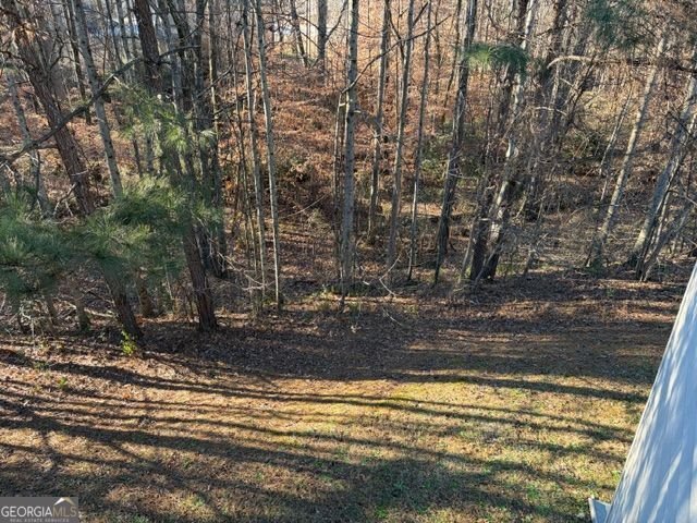 3229 Bowlin Drive Fairburn - 38