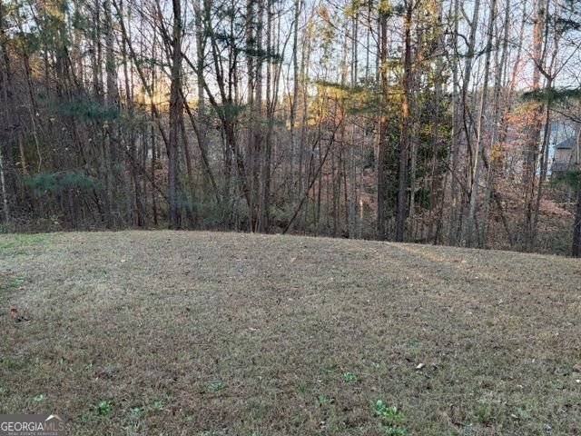 3229 Bowlin Drive Fairburn - 40