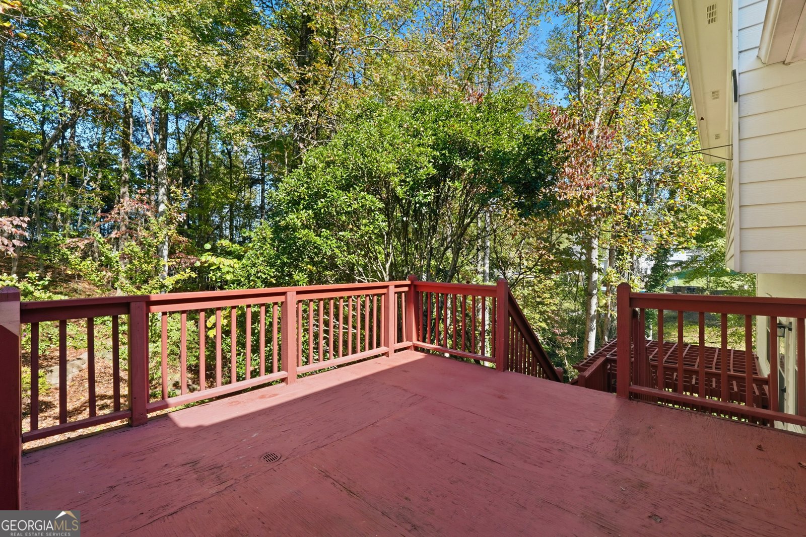 3007 Clove Tree Lane Woodstock - 22