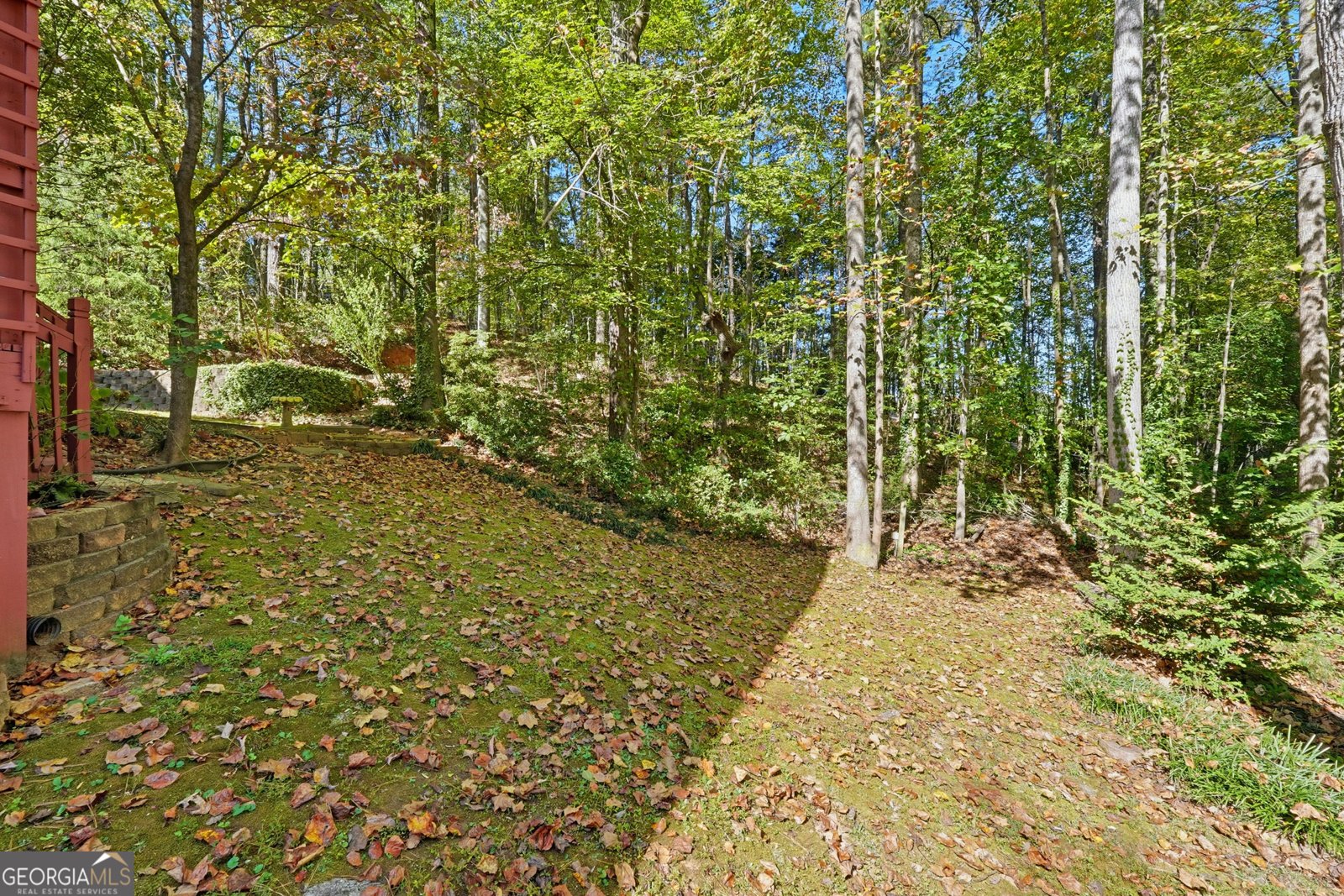 3007 Clove Tree Lane Woodstock - 25