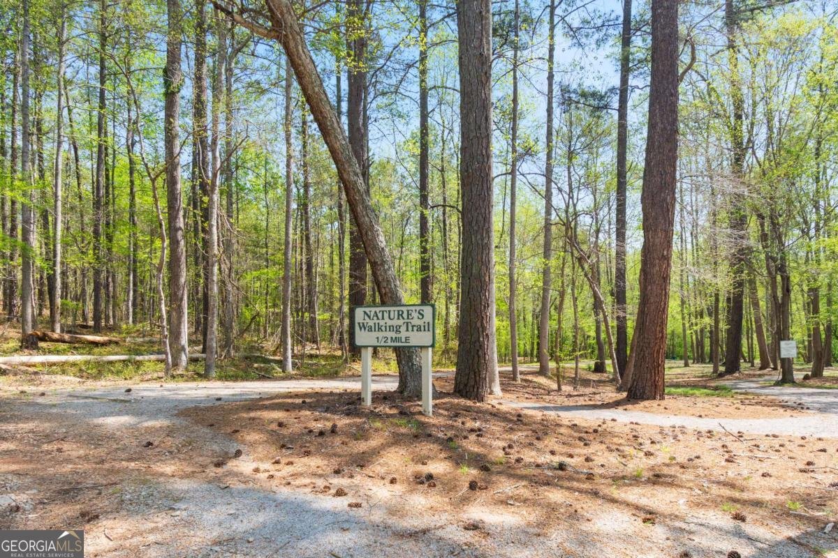 5567 Fisherman Court Villa Rica - 33