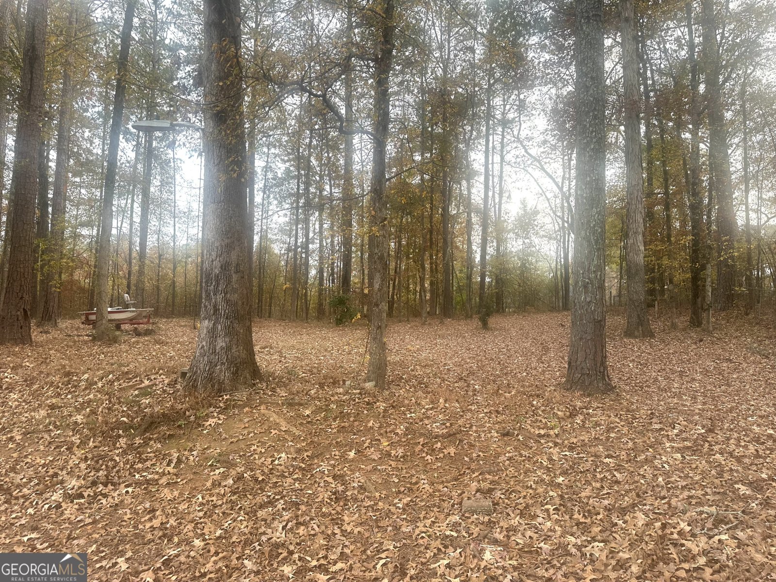 1836 Pinecrest Drive Griffin - 46