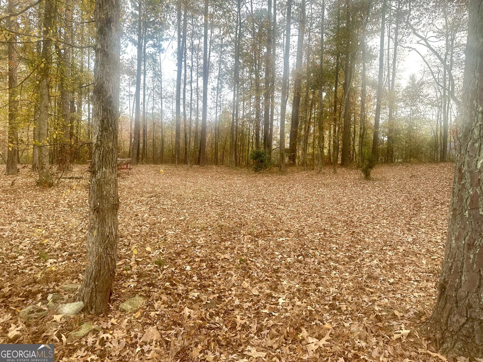 1836 Pinecrest Drive Griffin - 48