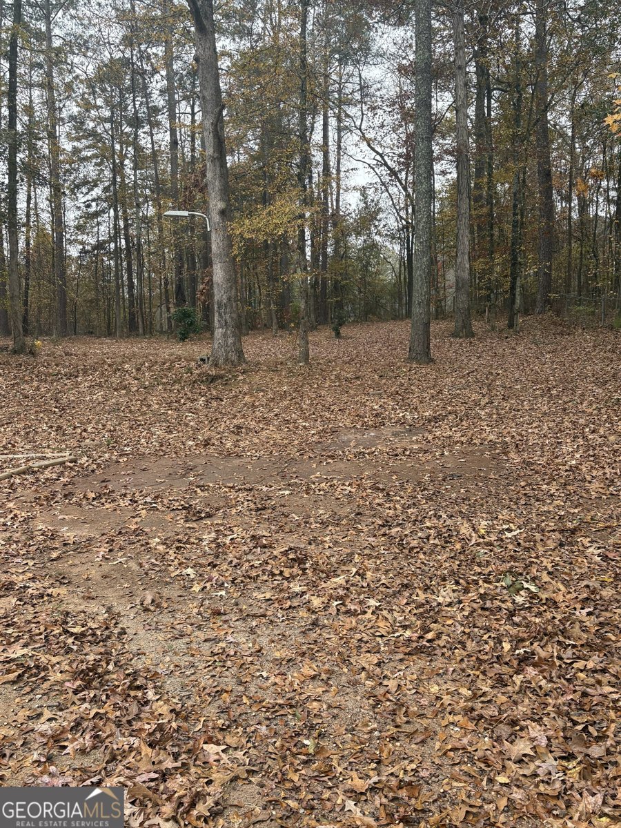 1836 Pinecrest Drive Griffin - 53