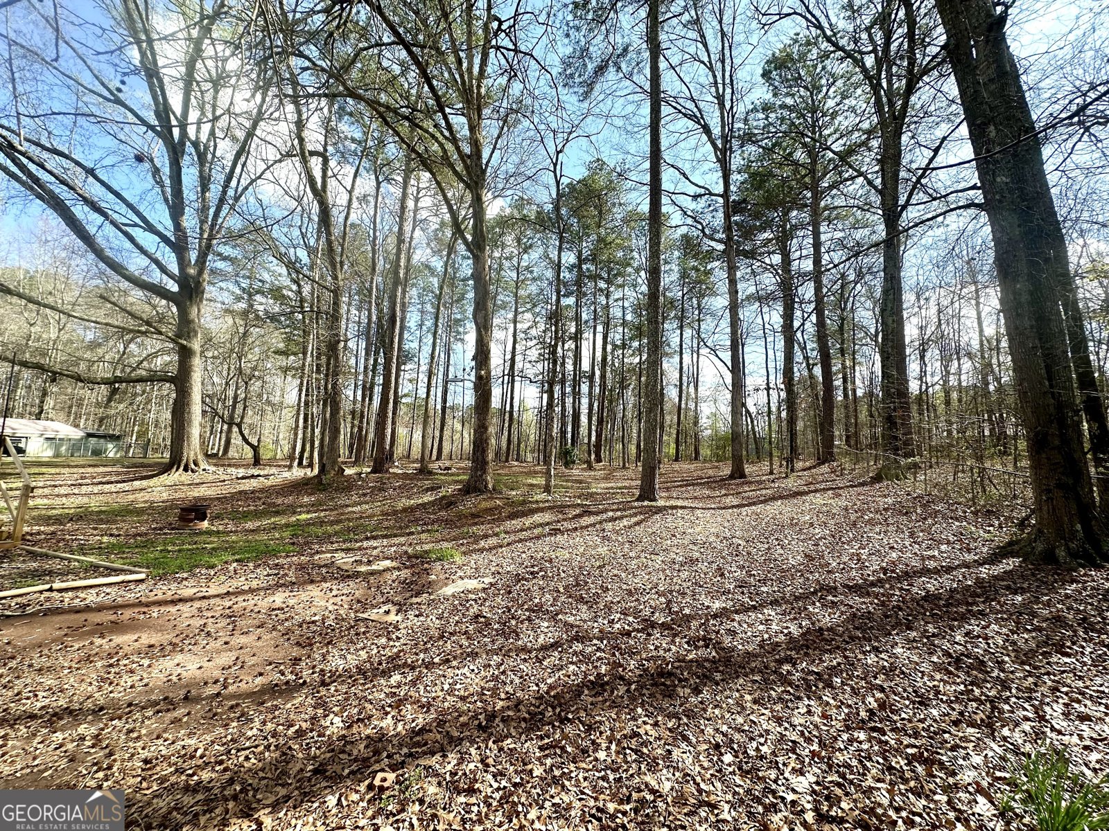 1836 Pinecrest Drive Griffin - Photo 59