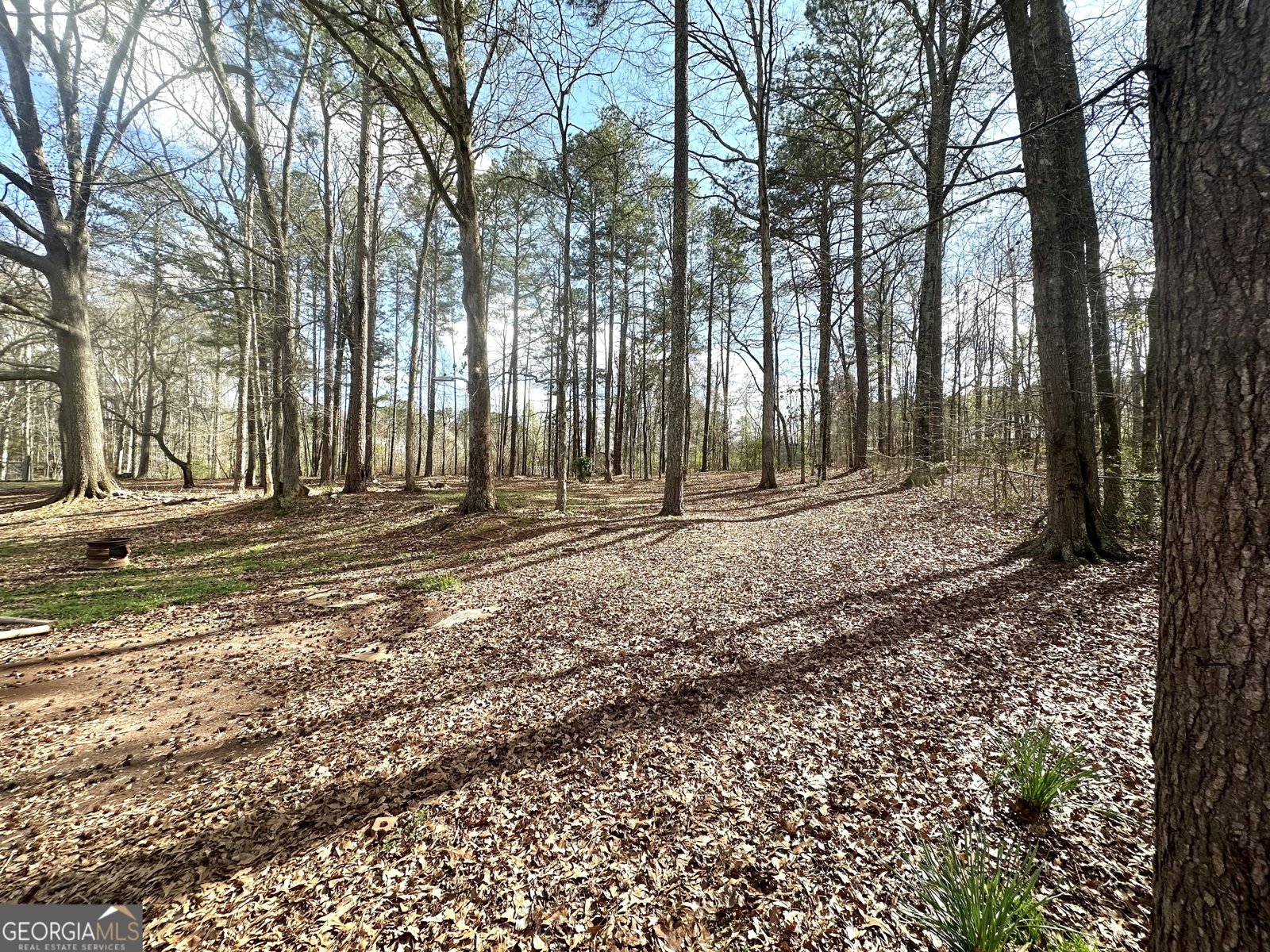 1836 Pinecrest Drive Griffin - Photo 60