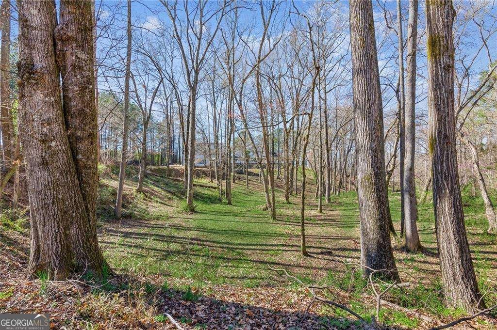 11637 Brown Bridge Road Covington - 66