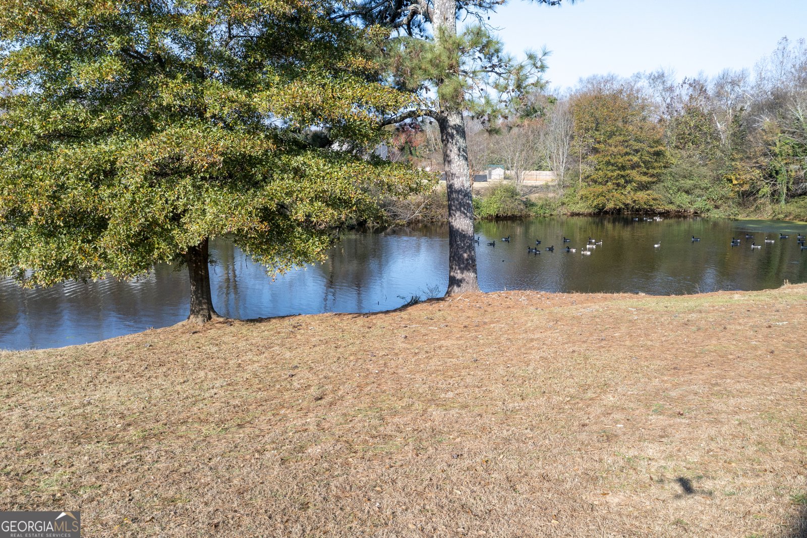 1206 Corkybrooke Lane Winder - 38