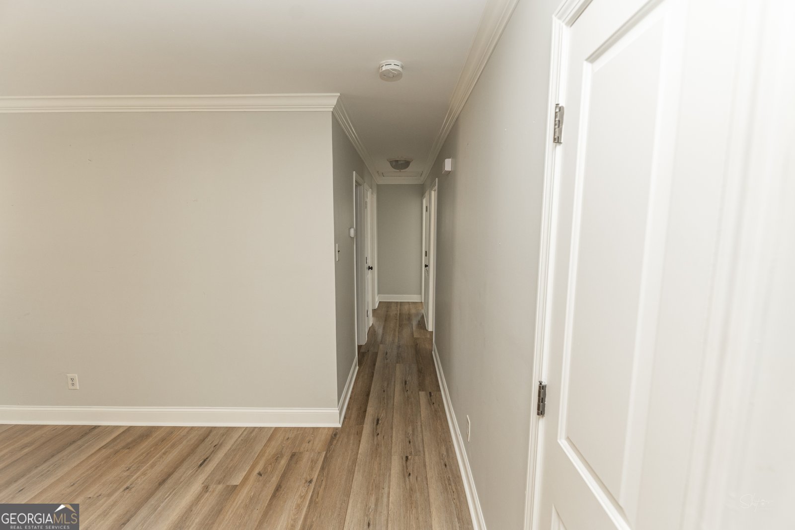 414 Pine Glen Drive Albany - 25