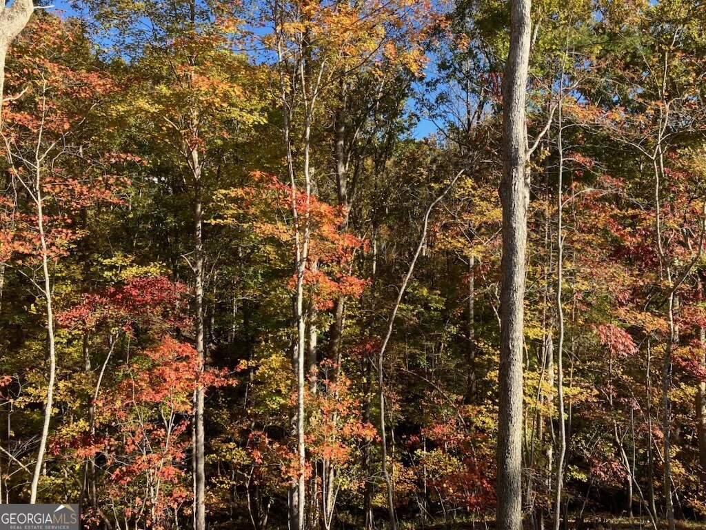 1415 Calhoun Road DAHLONEGA - 7