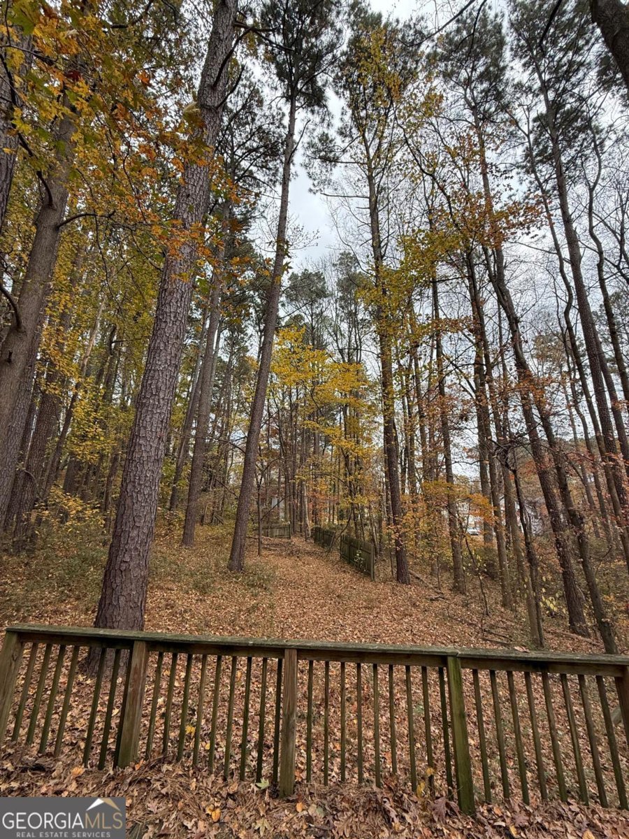 202 Crabapple Lane Powder Springs - 3