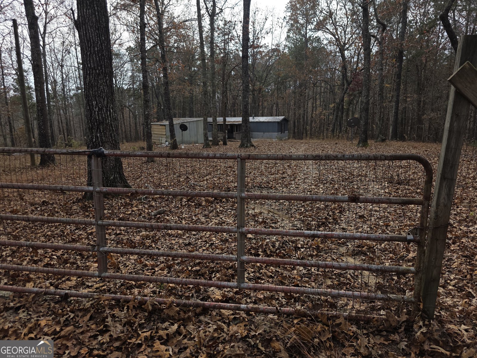 650 Wildcat Road Buchanan - 1