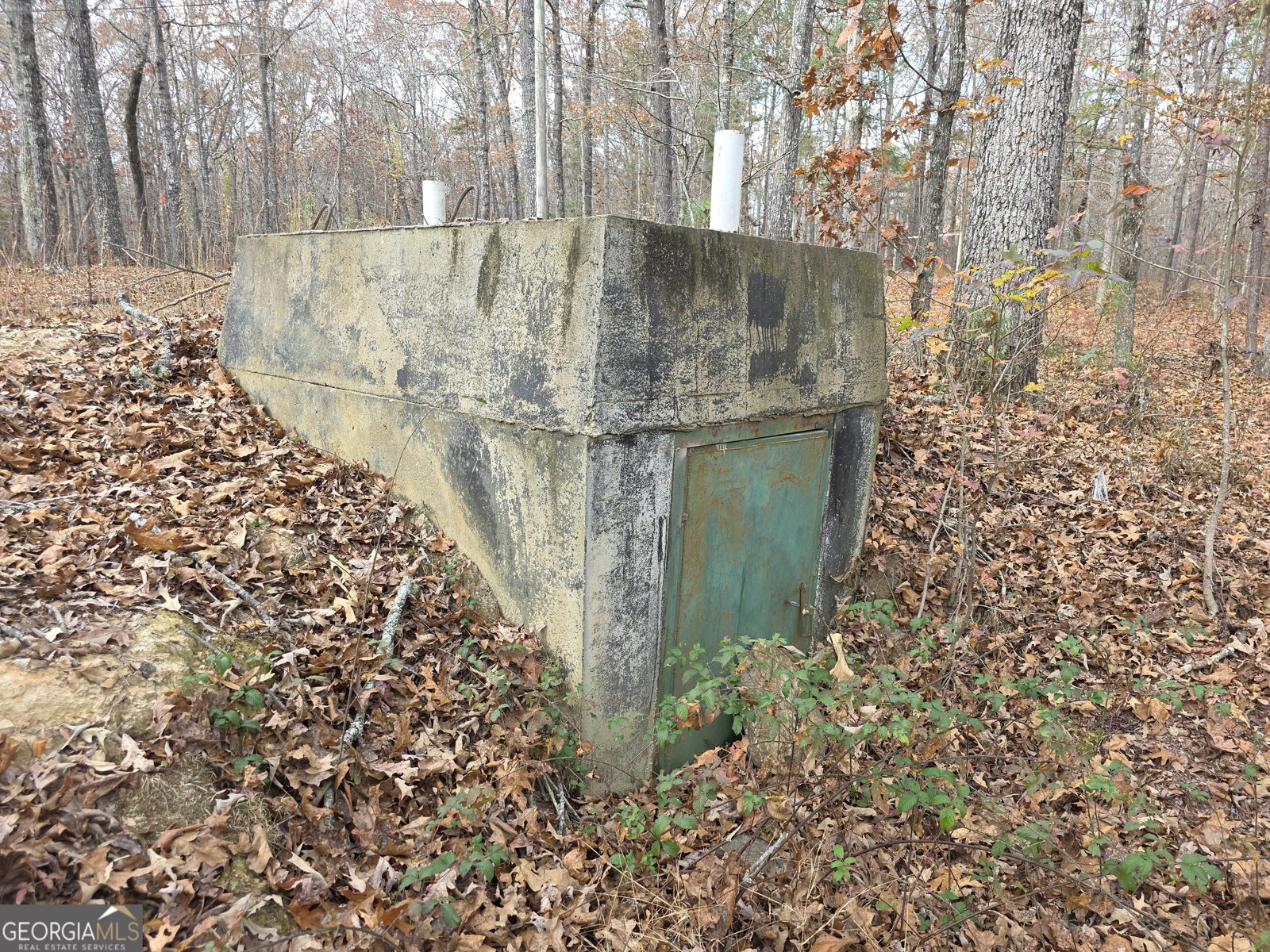 650 Wildcat Road Buchanan - 19