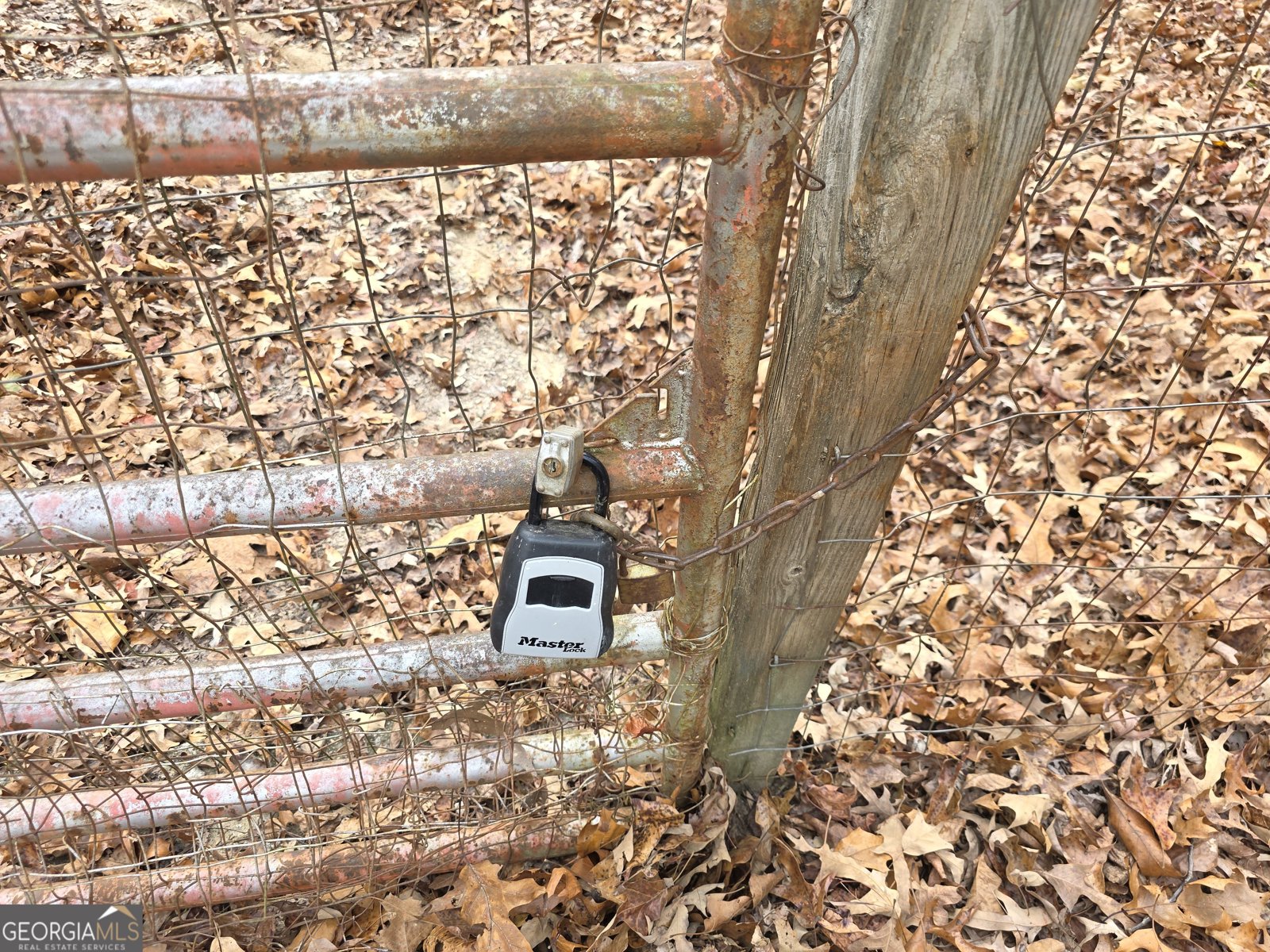 650 Wildcat Road Buchanan - 23