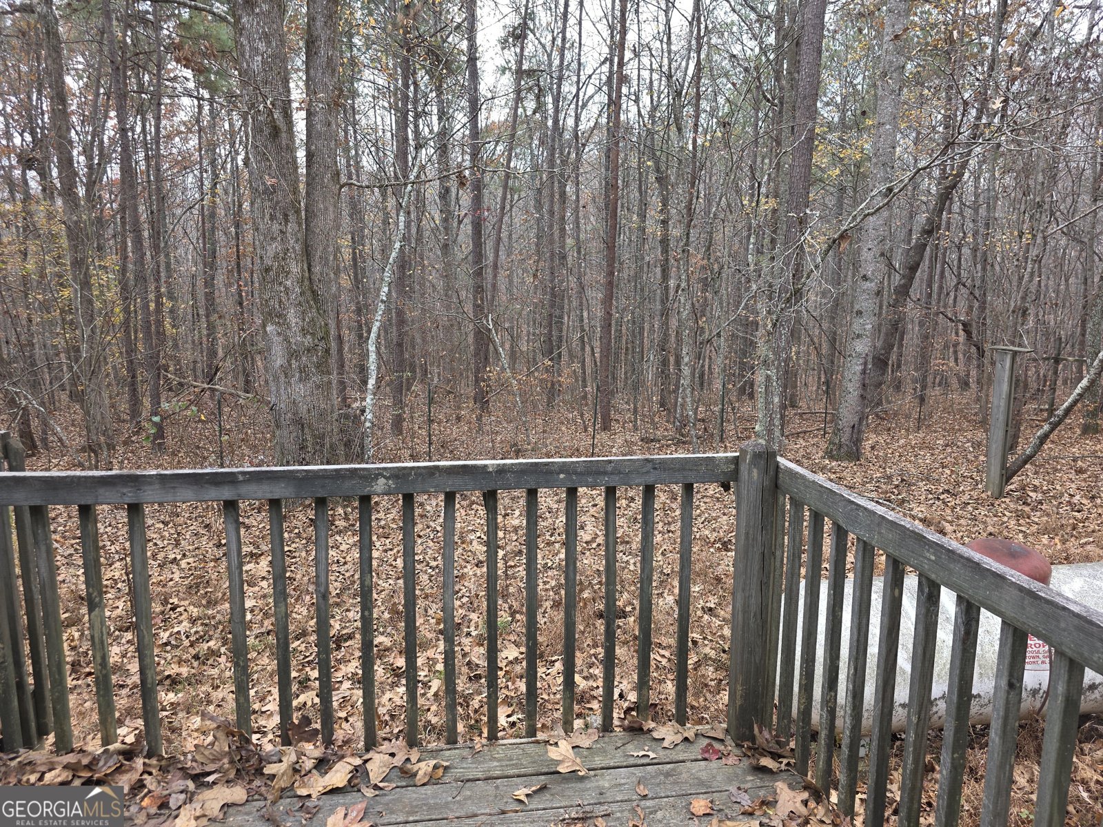 650 Wildcat Road Buchanan - 26