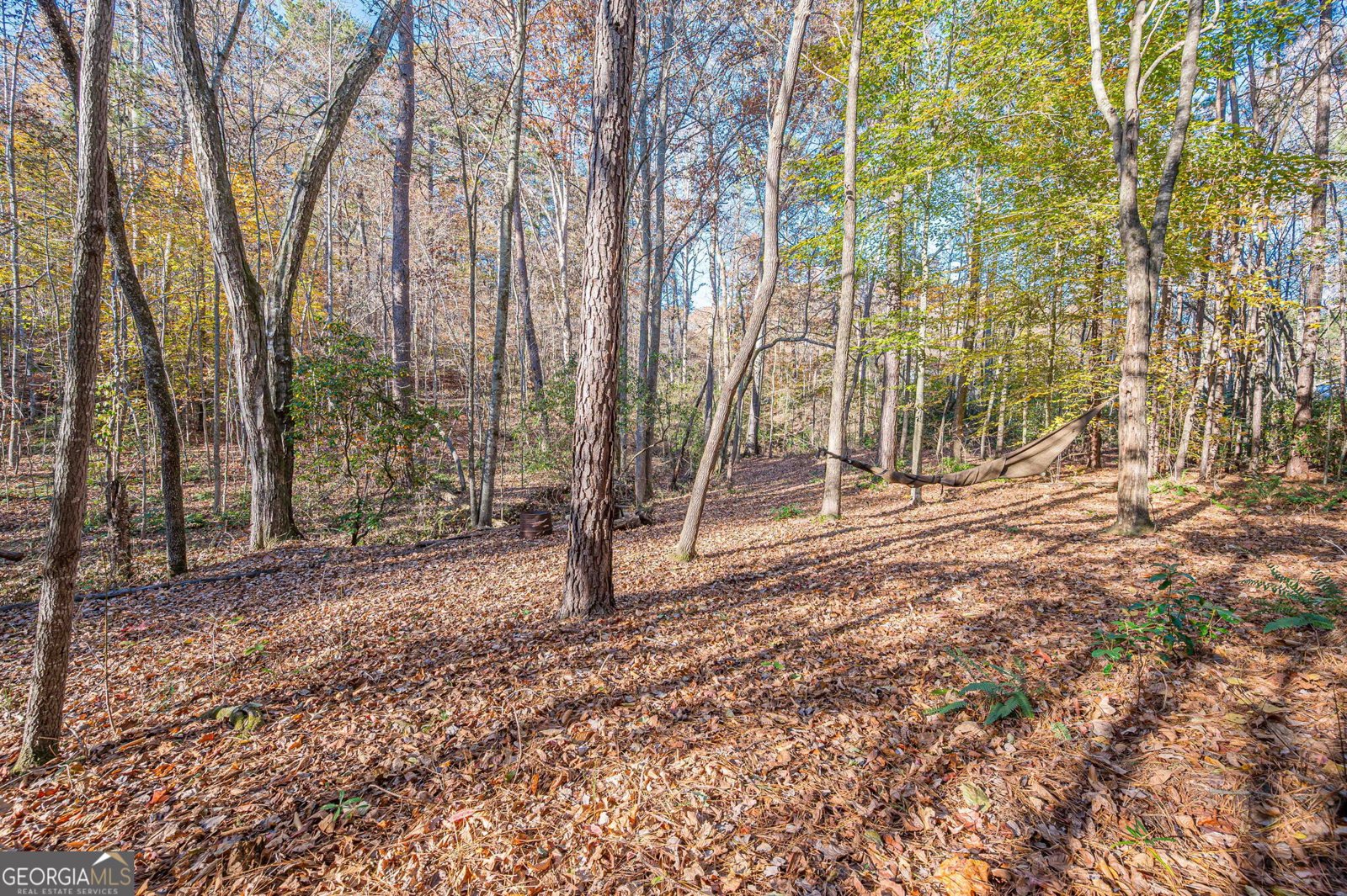 403 Wood Trace Ball Ground - 5