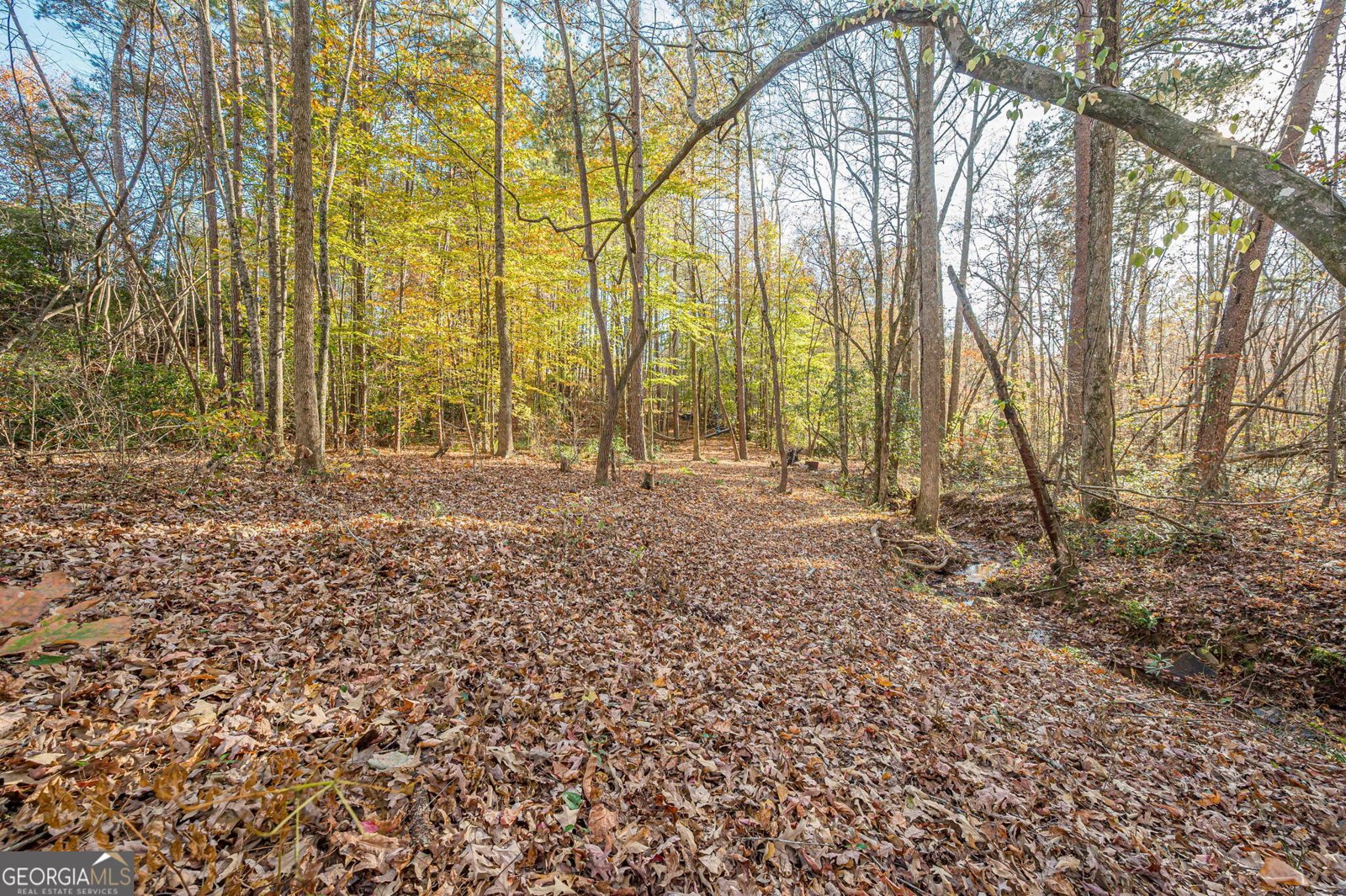 403 Wood Trace Ball Ground - 57