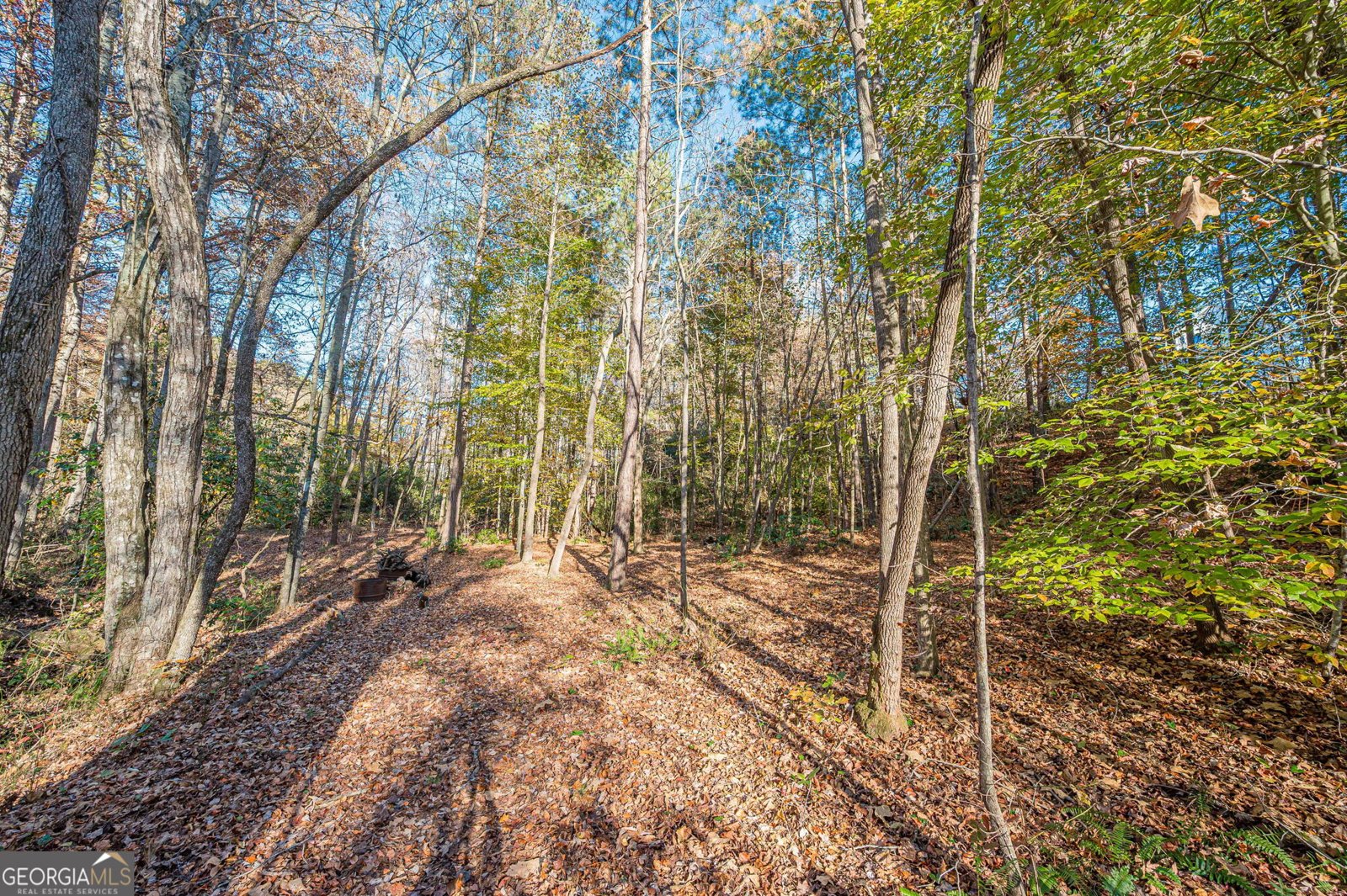 403 Wood Trace Ball Ground - 58