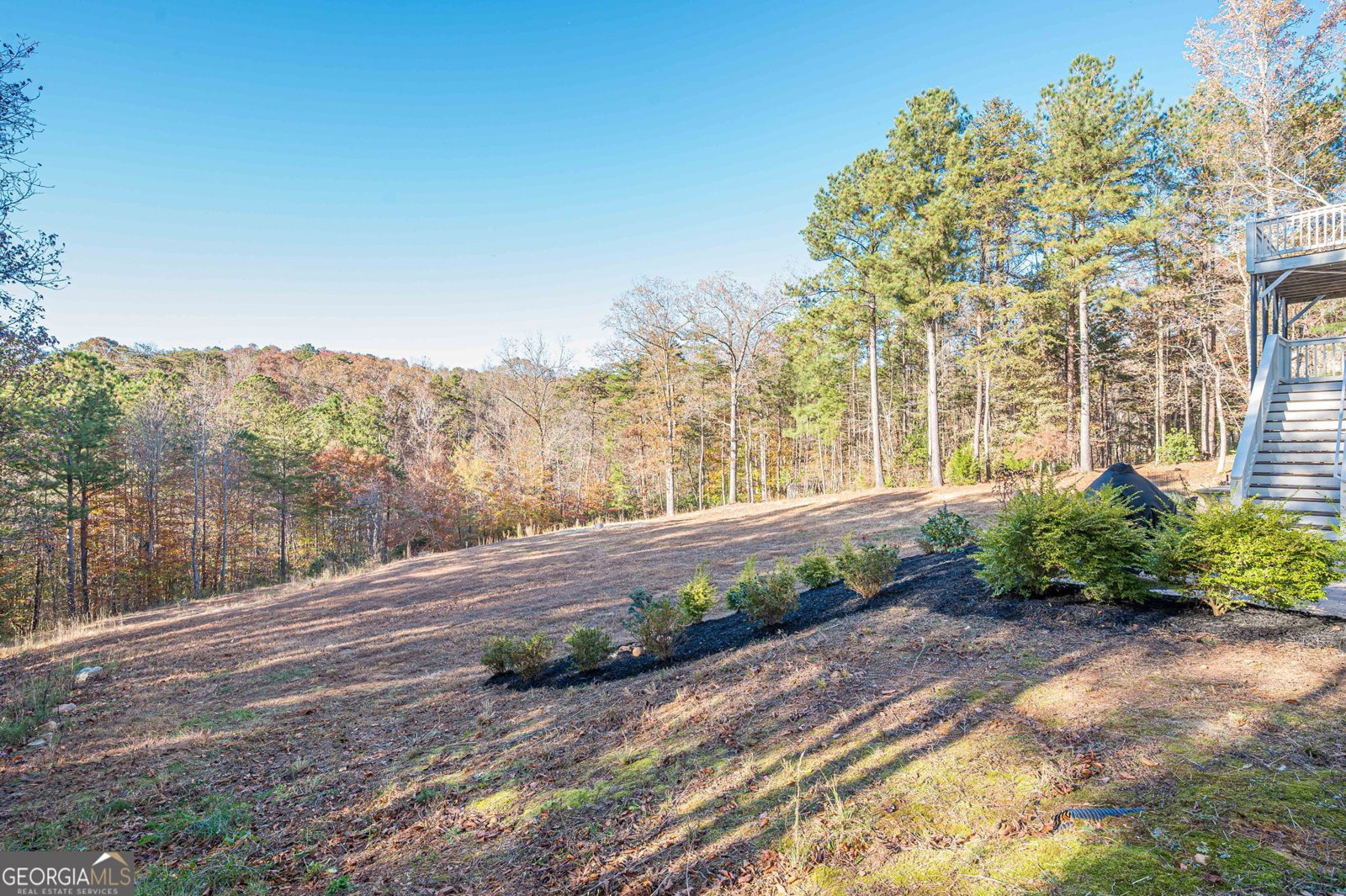 403 Wood Trace Ball Ground - 64