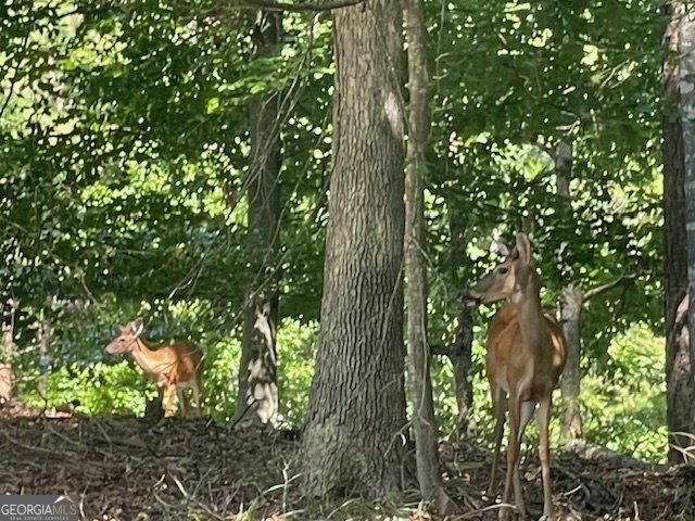 329 Greenleaf Drive Lavonia - 44