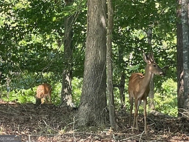 329 Greenleaf Drive Lavonia - 45