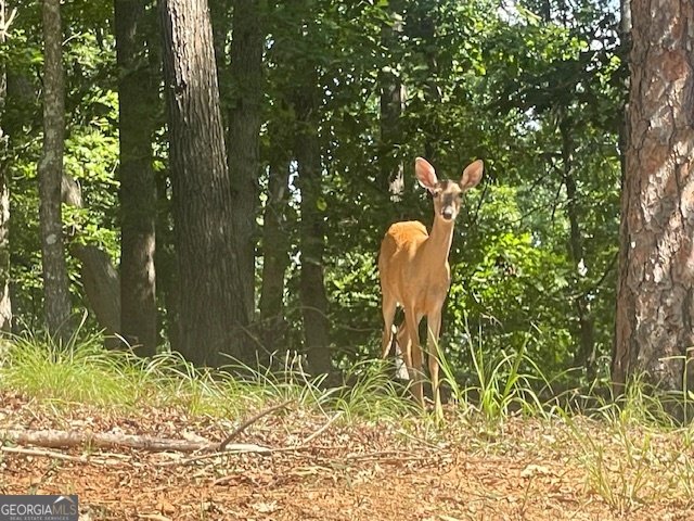 329 Greenleaf Drive Lavonia - 46