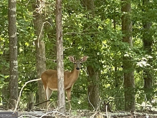 329 Greenleaf Drive Lavonia - 47