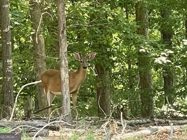 329 Greenleaf Drive Lavonia - 48