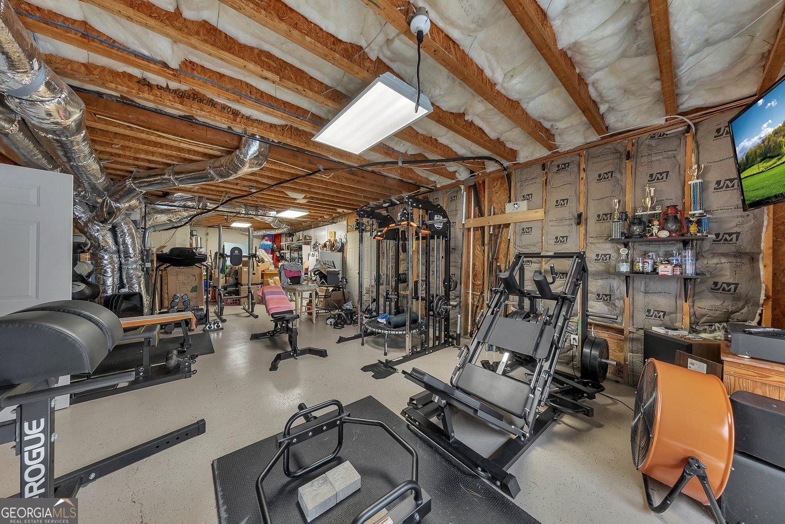 506 Black Horse Circle Canton - 49