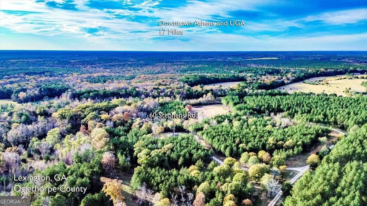 60 Stephens Road Lexington - 4