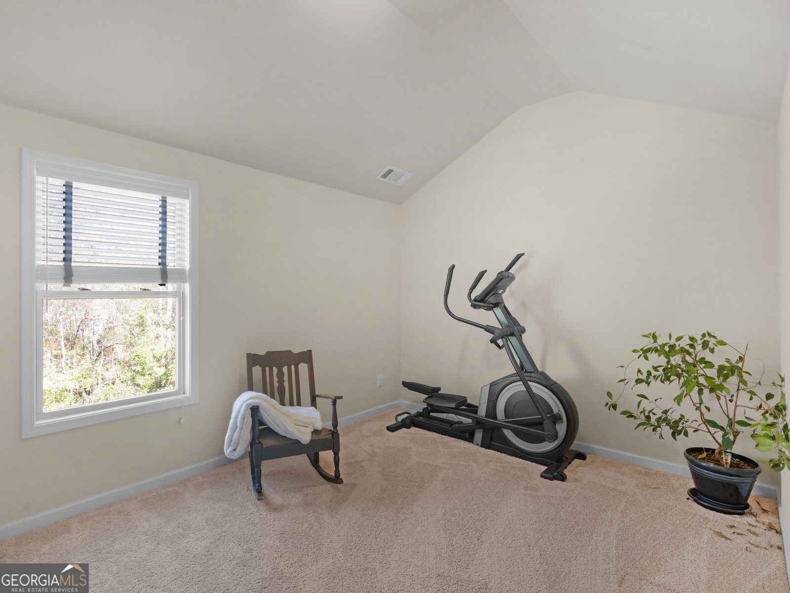 317 Maddi Grace Court Locust Grove - 28