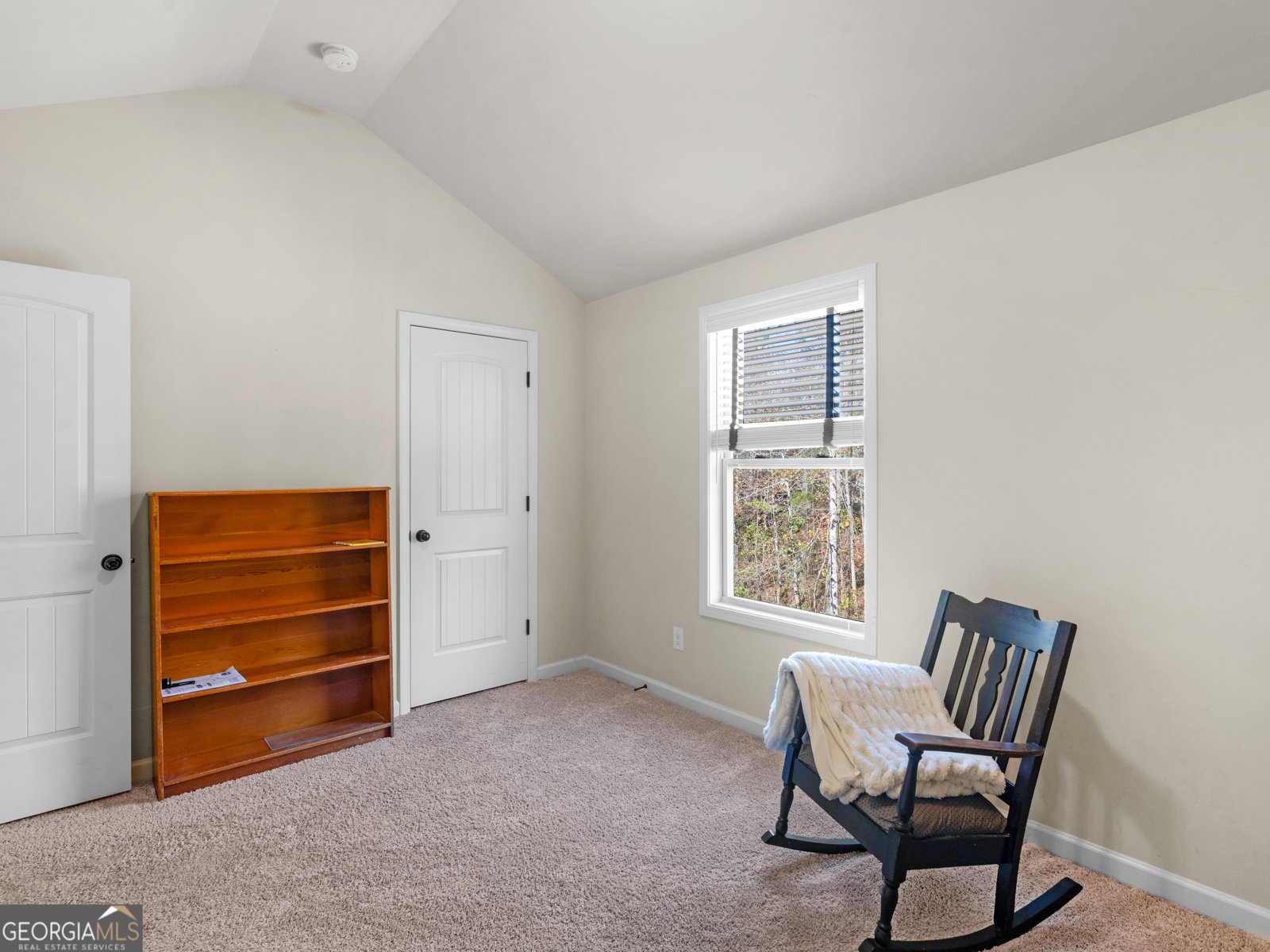 317 Maddi Grace Court Locust Grove - 29