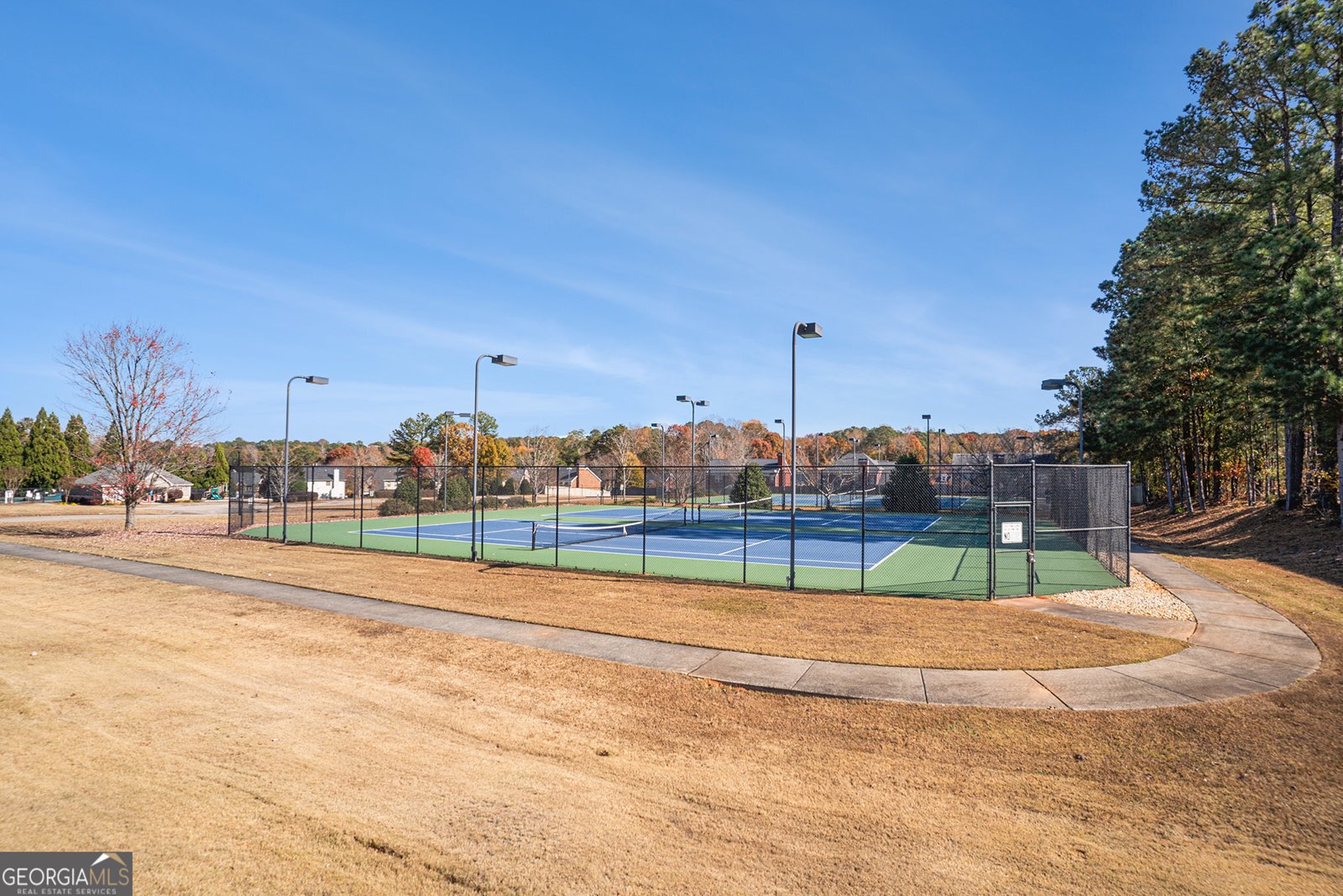 1104 Aqua Shore Drive Mcdonough - 29